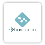 Barracuda Panguin