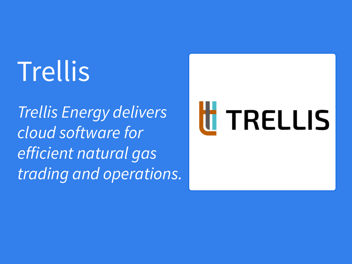 SEOJetty - Case Study Template -trellis2